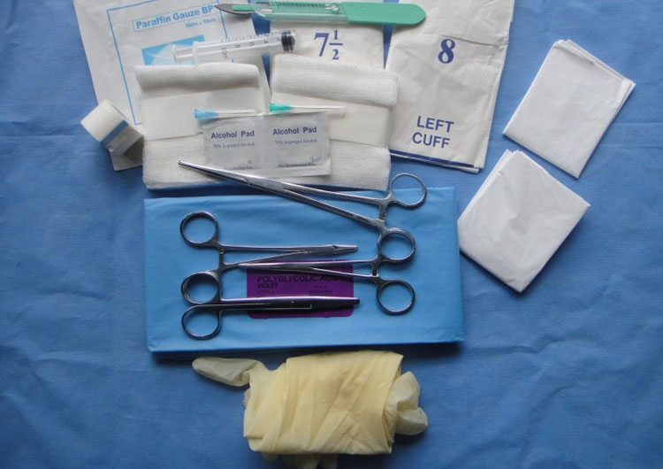 Medical Consumables & Disposables Western Health Care Technology